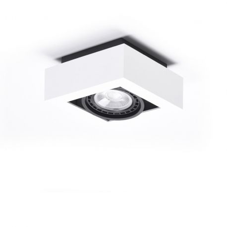 Spoturi tavan fals - Spot aplicat directionabil de tavan/plafon NIKEA 1 ES111 alb/negru