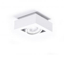 Spoturi tavan fals - Spot aplicat directionabil de tavan/plafon NIKEA 1 ES111 alb