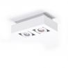 Spot aplicat directionabil de tavan/plafon NIKEA 2 GU10 alb