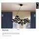 Pendule, Lustre suspendate - Lustra suspendata design modern Astros 14L