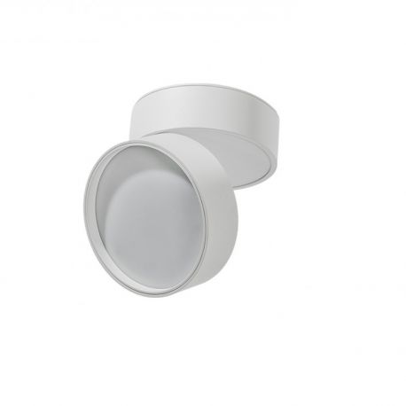 Plafoniere cu spoturi, Spoturi aplicate - Spot LED aplicat directionabil de tavan/plafon MONA 18W 3000K alb
