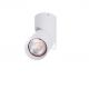 Spot modern directionabil aplicat tavan/plafon SANTOS GU10 alb