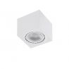 Spot aplicat de tavan/plafon ECO ALEX V2 alb