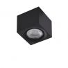 Spot aplicat de tavan/plafon ECO ALEX V2 negru