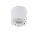 Spot aplicat de tavan/plafon ECO ALEX V2 alb