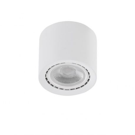Plafoniere cu spoturi, Spoturi aplicate - Spot aplicat de tavan/plafon ECO ALEX V2 alb