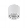 Spot aplicat de tavan/plafon ECO ALEX V2 alb