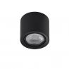 Spot aplicat de tavan/plafon ECO ALEX V2 negru