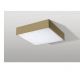 Plafoniera LED cu telecomanda design slim MONZA S 22 CCT champagne