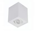 Spot directionabil aplicat tavan/plafon stil modern ELOY 1 White