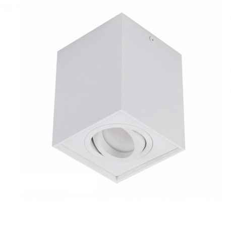 Plafoniere cu spoturi, Spoturi aplicate - Spot directionabil aplicat tavan/plafon stil modern ELOY 1 White