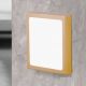 Plafoniere - Plafoniera LED moderna design slim Lero 18x18cm auriu mat