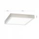 Plafoniere - Plafoniera LED moderna design slim Lero 18x18cm aluminiu mat