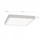 Plafoniere - Plafoniera LED moderna design slim Lero 23x23cm aluminiu mat