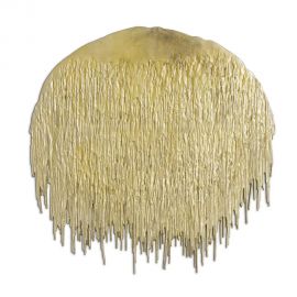 Parfumuri de camera, Idei cadouri, Obiecte decorative - Decoratiune pentru perete design LUX Grove