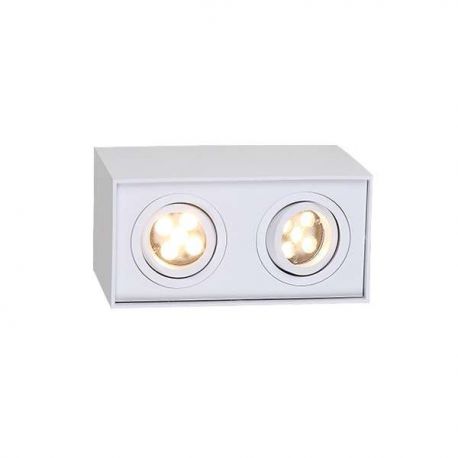 Plafoniere cu spoturi, Spoturi aplicate - lafoniera aplicata alba cu 2 spoturi, dim.19x12,5cm, BASIC SQUARE II WH