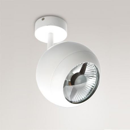 Spoturi tavan fals - Spot directionabil Silver alb