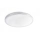Plafonier modern, diametru 30 cm, Ami LED