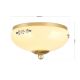 Plafoniere - Plafoniera clasica Landhaus 21cm alama satin/ sticla champagne decor albastru