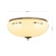 Plafoniere - Plafoniera clasica Landhaus 35cm alama antique/ sticla champagne decor albastru