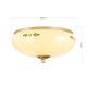Plafoniere - Plafoniera clasica Landhaus 28cm alama satin/ sticla champagne decor verde