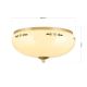 Plafoniere - Plafoniera clasica Landhaus 35cm alama satin/ sticla champagne decor verde