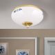 Plafoniere - Plafoniera clasica Landhaus Ø21cm alama satin/ sticla opal decor albastru