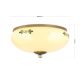 Plafoniere - Plafoniera clasica Landhaus 28cm alama satin/ sticla champagne decor verde