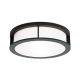 Plafoniere - Plafoniera de exterior, protectie IP44, Henry antracit