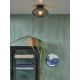 Lustre aplicate - Plafoniera din sticla Brussels negru/ antracit