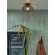 Lustre aplicate - Plafoniera din sticla Brussels negru/ antracit