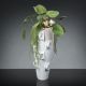 Aranjamente florale LUX - Aranjament floral mare OBICE DAVID EARS LOTUS STEM