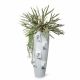 Aranjamente florale LUX - Aranjament floral mare OBICE DAVID EARS LOTUS PLATYCERUM