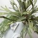 Aranjamente florale LUX - Aranjament floral mare OBICE DAVID EARS LOTUS PLATYCERUM
