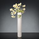 Aranjament floral mare CYLINDER DAVID EYE WITH POPPY