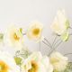 Aranjamente florale LUX - Aranjament floral mare CYLINDER DAVID EYE WITH POPPY
