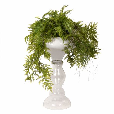 Aranjamente florale LUX - Aranjament floral mare ZEUS FERN ROOTS BALL