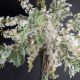 Aranjamente florale LUX - Aranjament floral mare ETERNITY LUDOVICA DELPHINIUM, 205cm