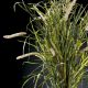 Aranjamente florale LUX - Aranjament floral mare BUNDLE GRASS, 155cm
