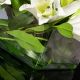 Aranjamente florale LUX - Aranjament floral design LUX ETERNITY SQUARE LILIUM