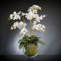 Aranjament floral PHALENOPSIS MAXI 110cm