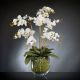 Aranjamente florale LUX - Aranjament floral PHALENOPSIS MAXI 110cm