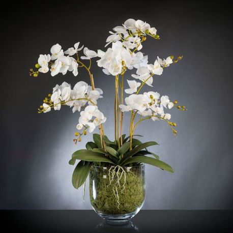 Aranjamente florale LUX - Aranjament floral PHALENOPSIS MAXI 110cm
