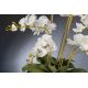Aranjamente florale LUX - Aranjament floral PHALENOPSIS MAXI 110cm