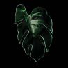 Element decorativ suspendat design frunze care cad din tavan MONSTERA DELICIOSA medium