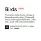 Aplice, corpuri de iluminat pentru pereti - Aplica de perete design minimalist BIRDS AP1