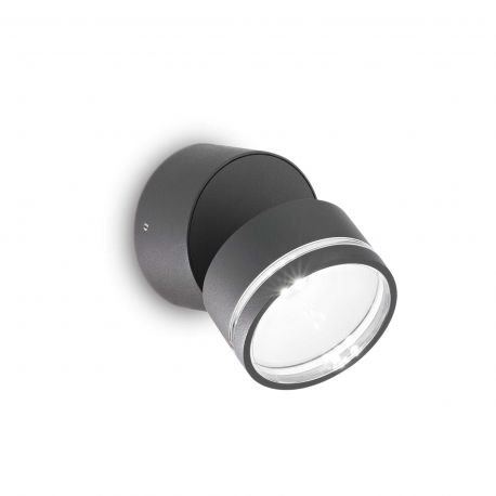 Aplice - Aplica de perete exterior, IP54 OMEGA AP ROUND ANTRACITE 4000K
