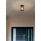 Plafoniere - Plafoniera pentru iluminat exterior IP65 KILA fumurie