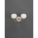 Aplice, corpuri de iluminat pentru pereti - Aplica clasic design italian din alama, sticla si lemn 8655