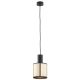 Pendule, Lustre suspendate - Pendul cu spot design modern minimalist HERMAN negru/auriu